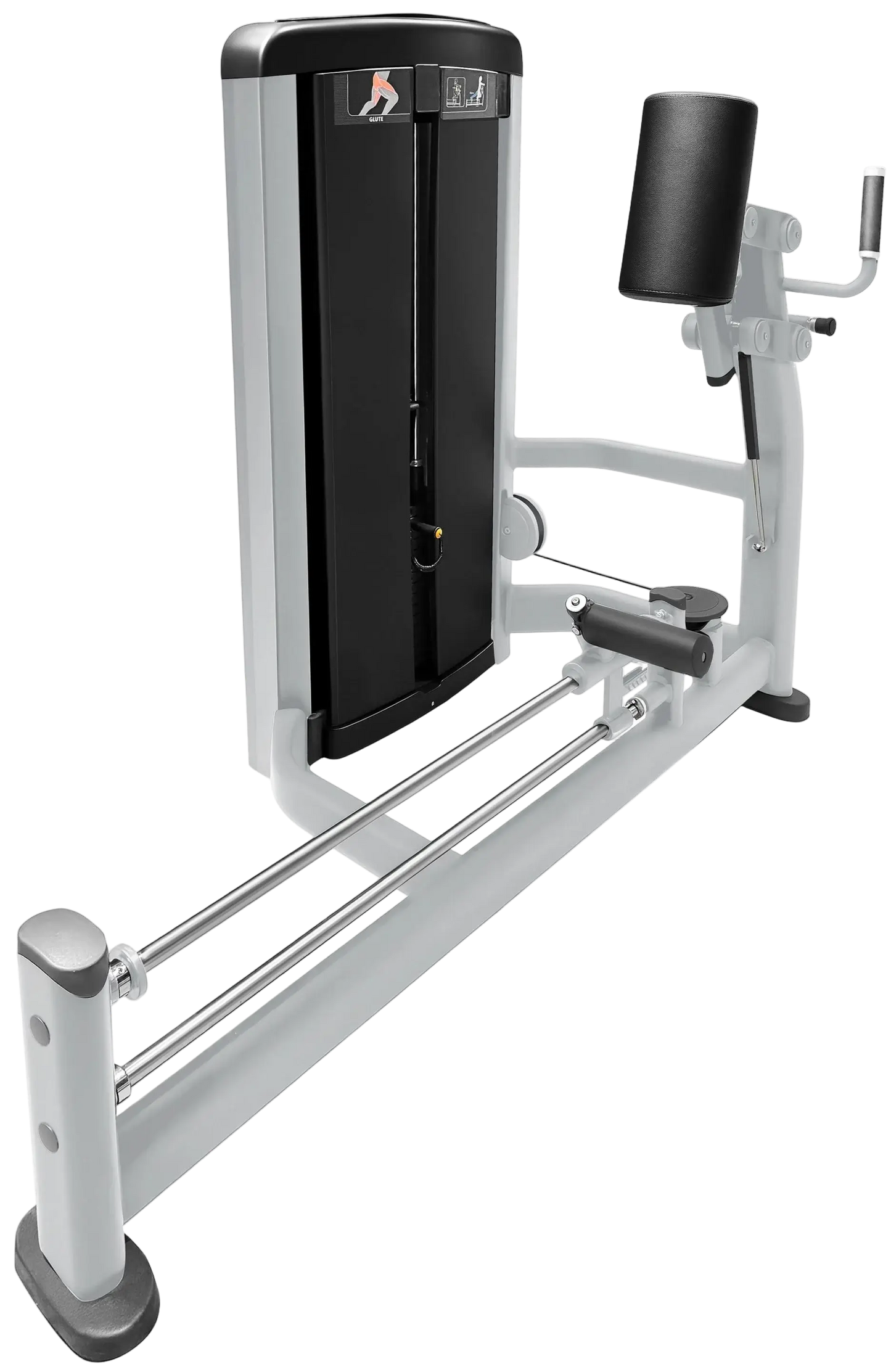 French Fitness Vail Glute Machine (New)