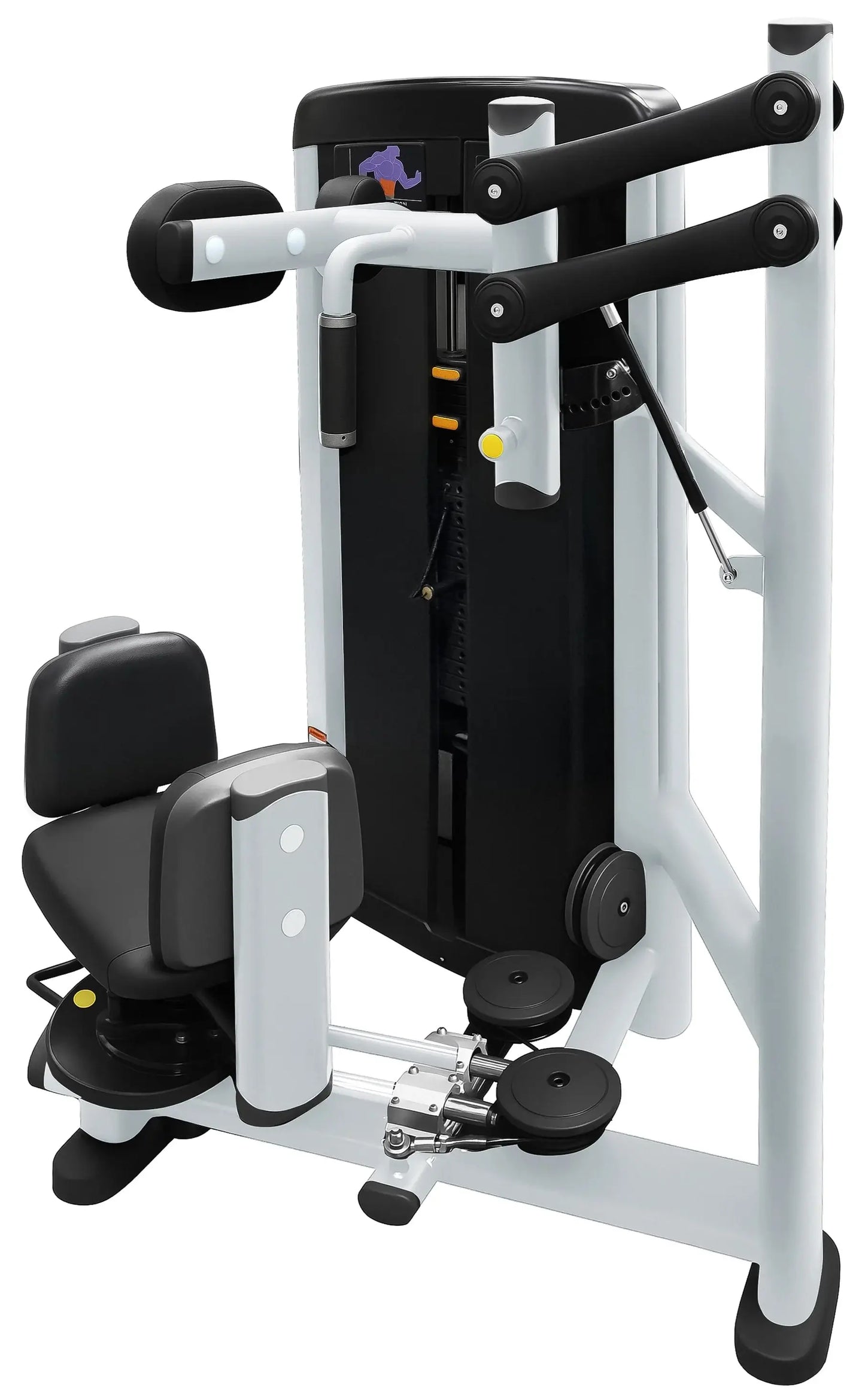 French Fitness Vail Torso Rotation (New)