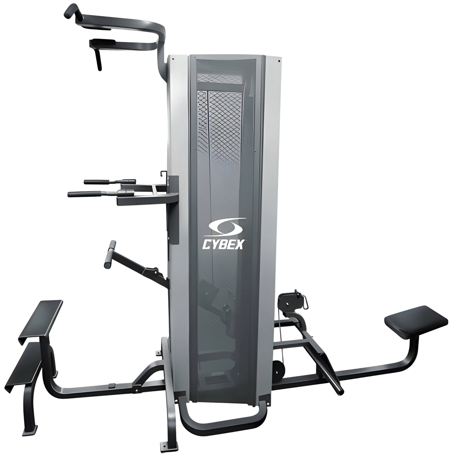 Cybex Dual Standing Chin Dip Assist / Seated Row (Remanufactured)