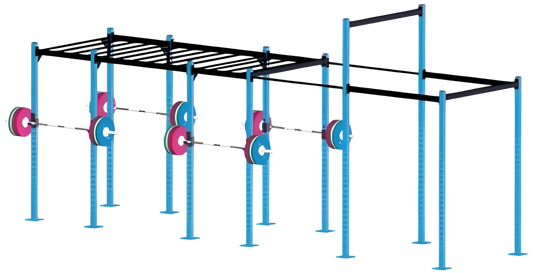 French Fitness Free Standing Rig 4 (New)